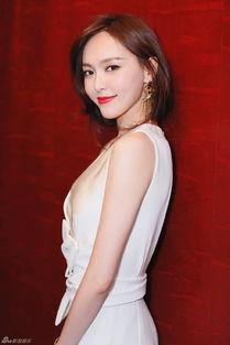 张龙前妻爆料视频大全,揭秘婚姻内幕与情感纠葛